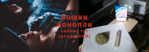 соль ск Козловка