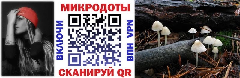 где купить наркоту Кораблино Псилоцибиновые грибы мицелий